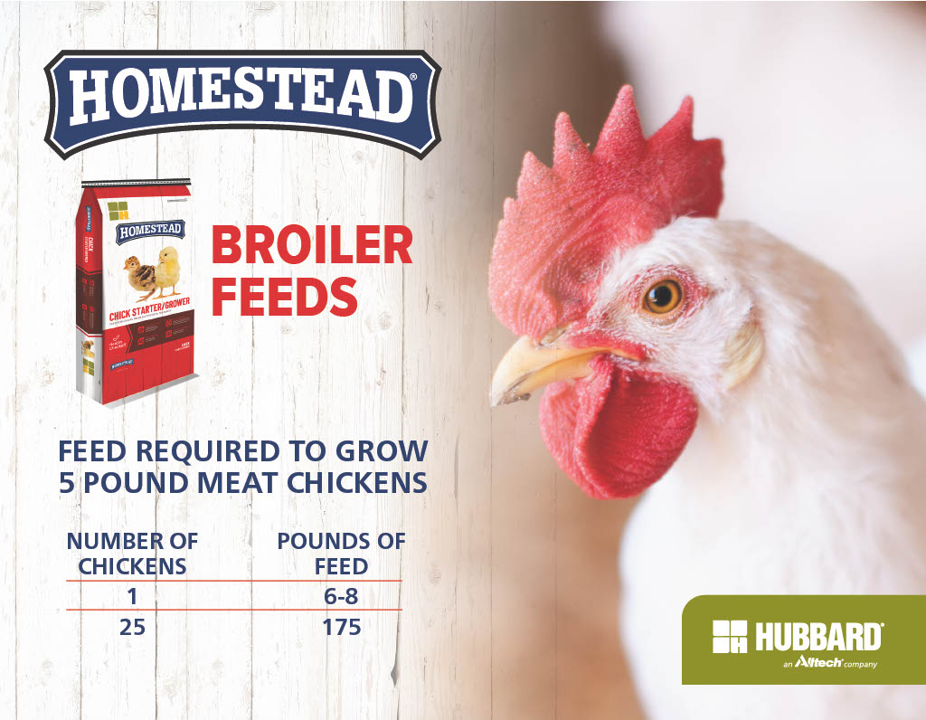 Homestead® Chick Starter-Grower Feed