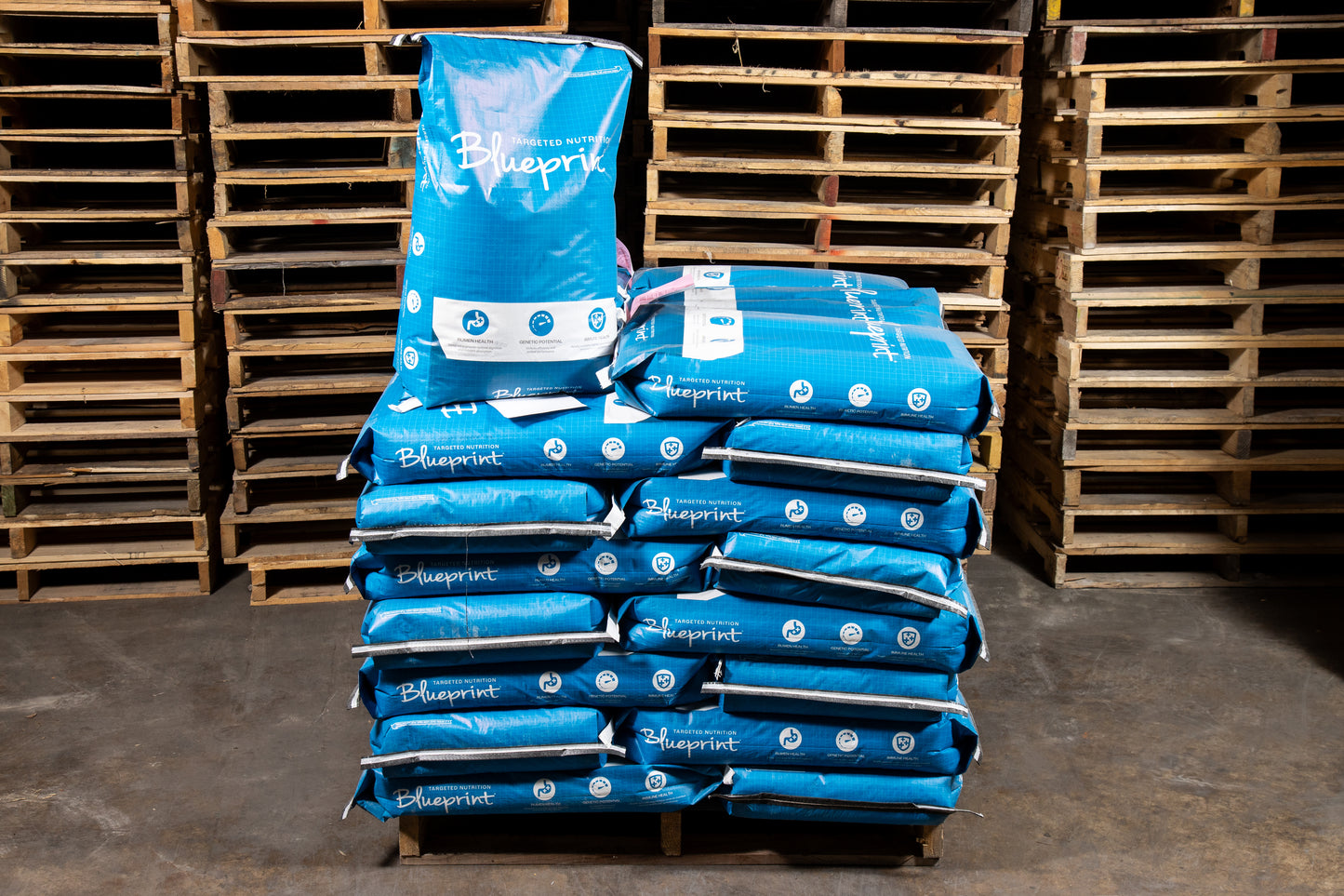 Blueprint® Goat Mineral