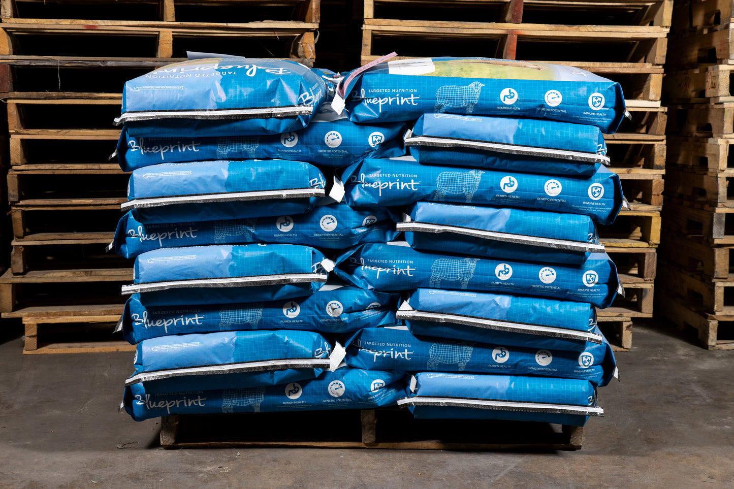 Blueprint® Lamb Grower 16% B30