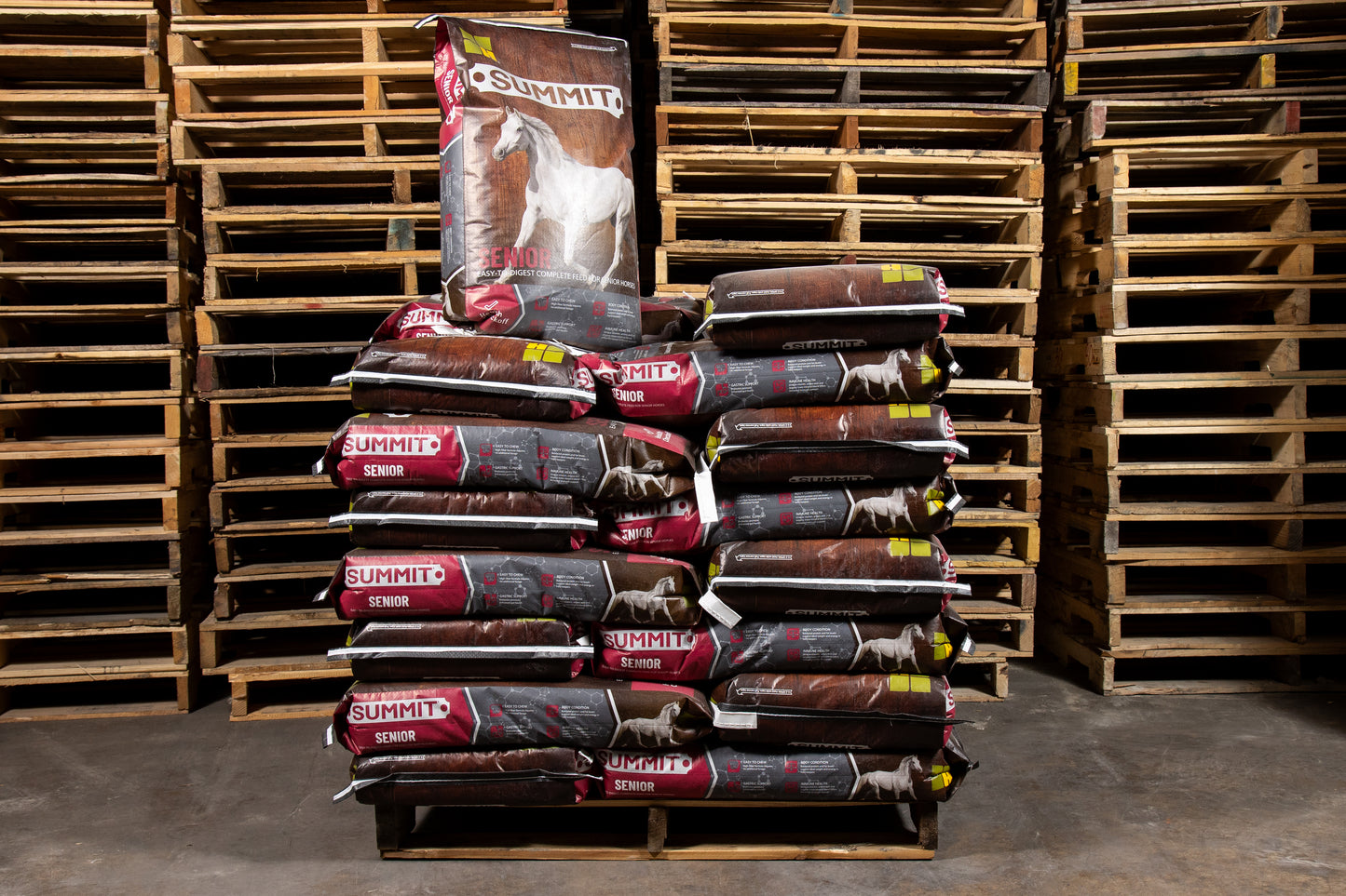 Summit® Senior Horse Feed