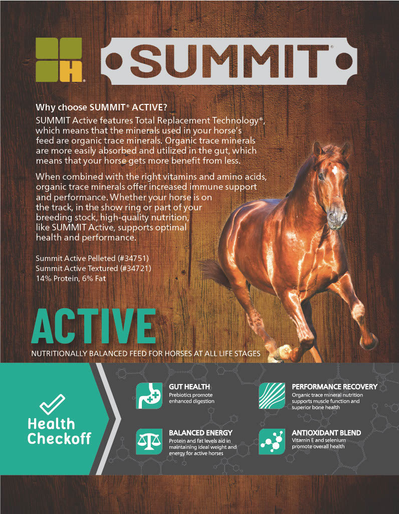 Summit® Active - Horse Feed