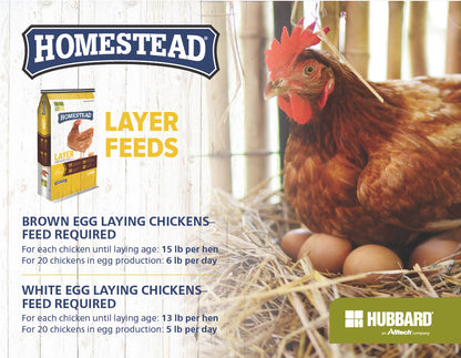 Homestead® Layer Chicken Feed NAB NAP
