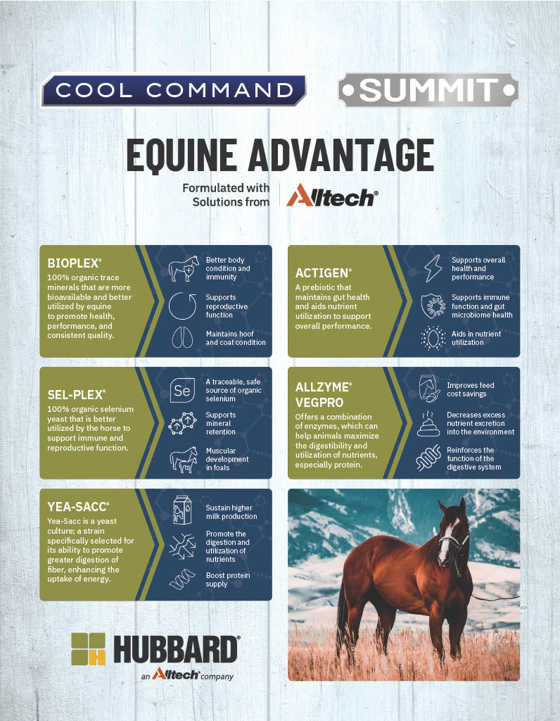 Summit® Active - Horse Feed