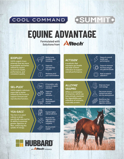 Summit® Active - Horse Feed