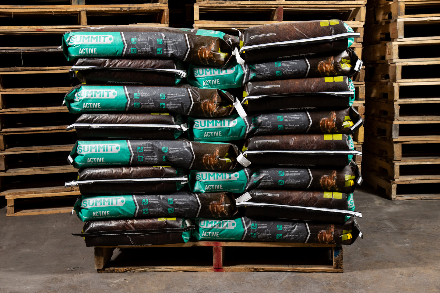 Summit® Active - Horse Feed