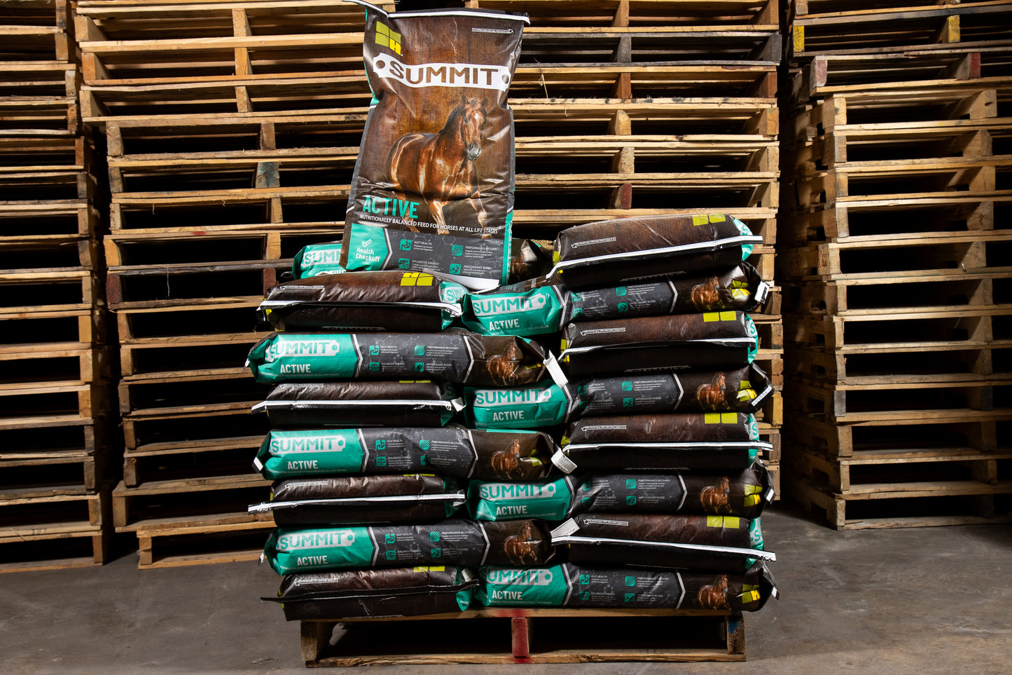 Summit® Active - Horse Feed
