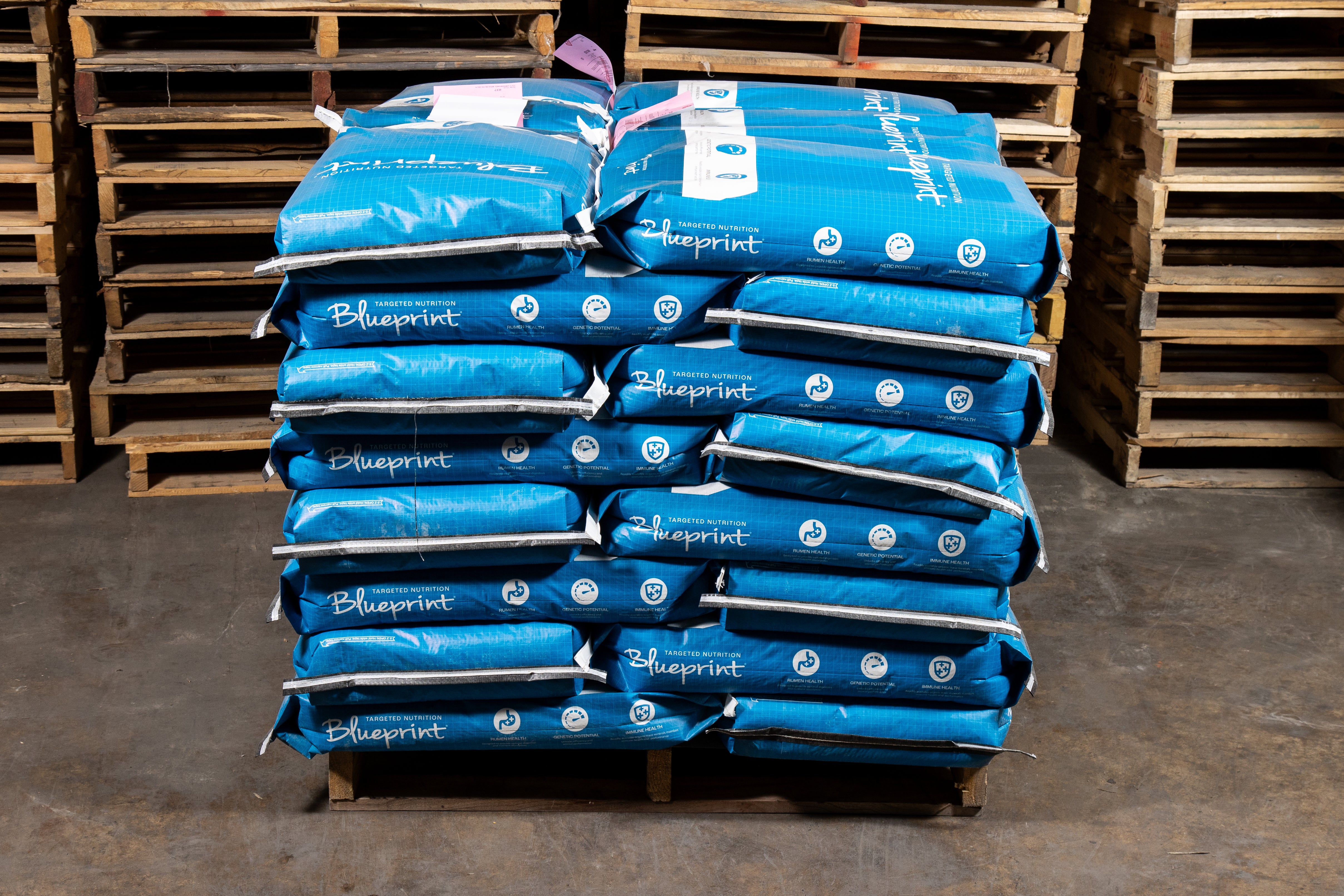 Blueprint® Doeling Developer MON20