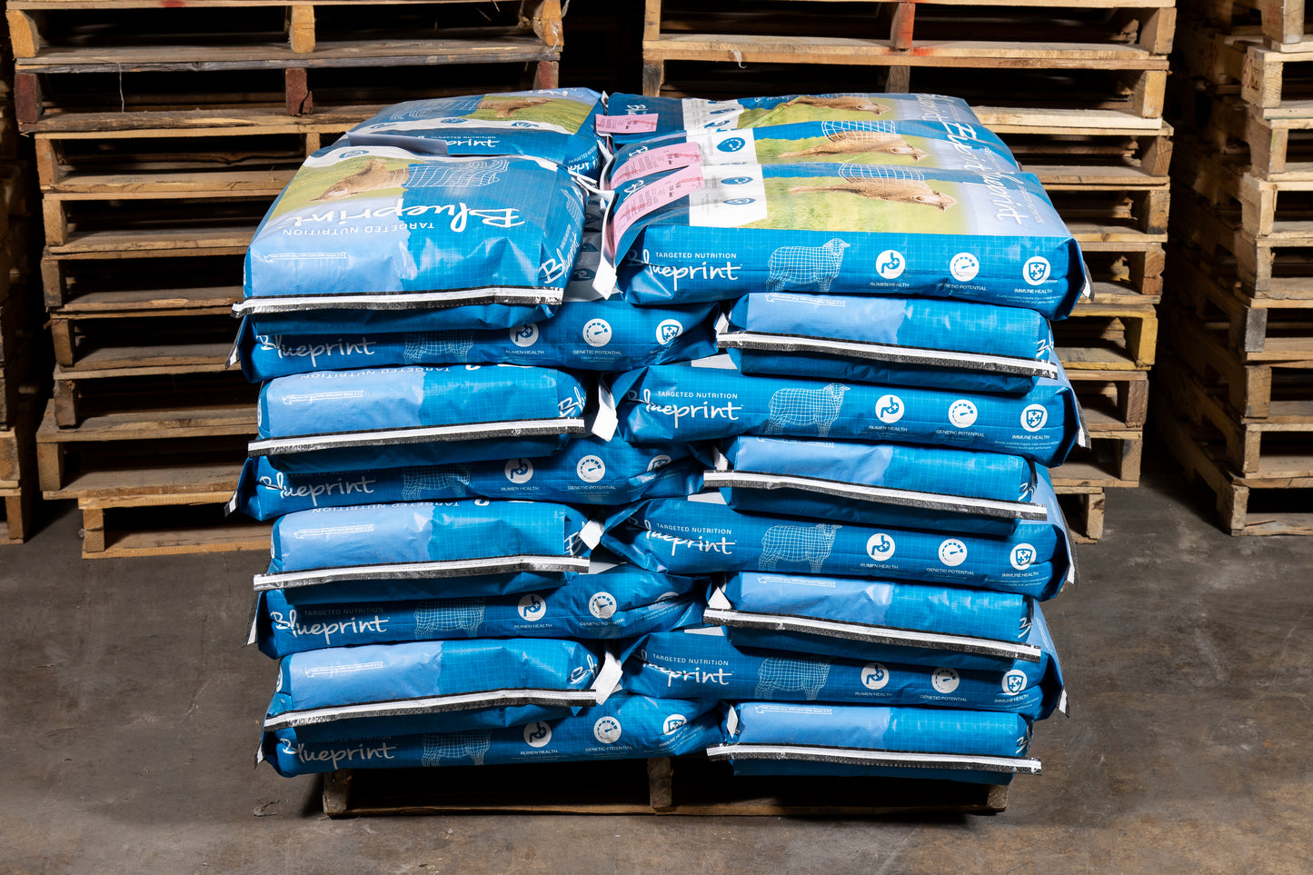 Blueprint® Lamb Grower 16% B30
