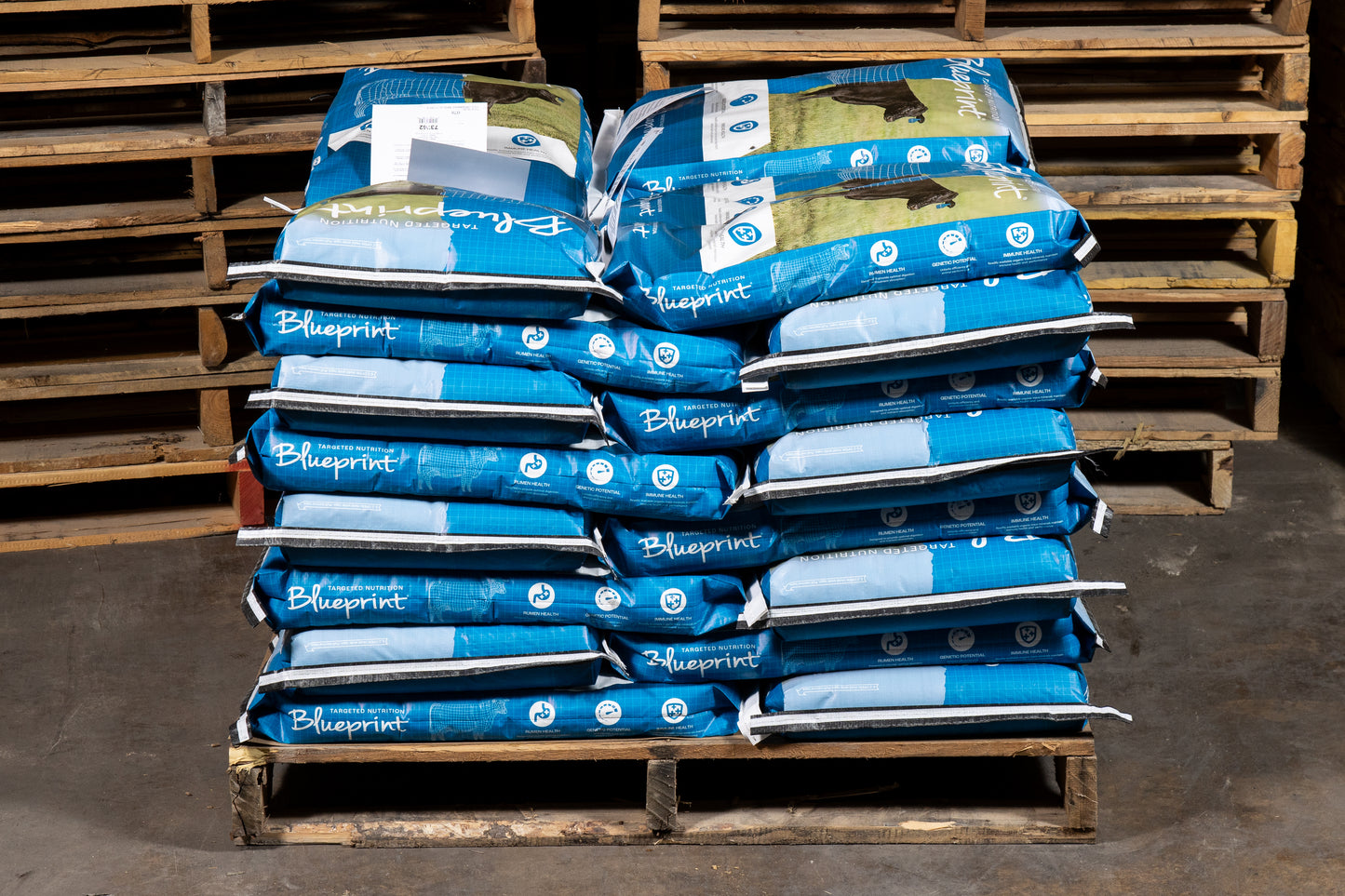 Blueprint® Cow Calf 5 Mineral