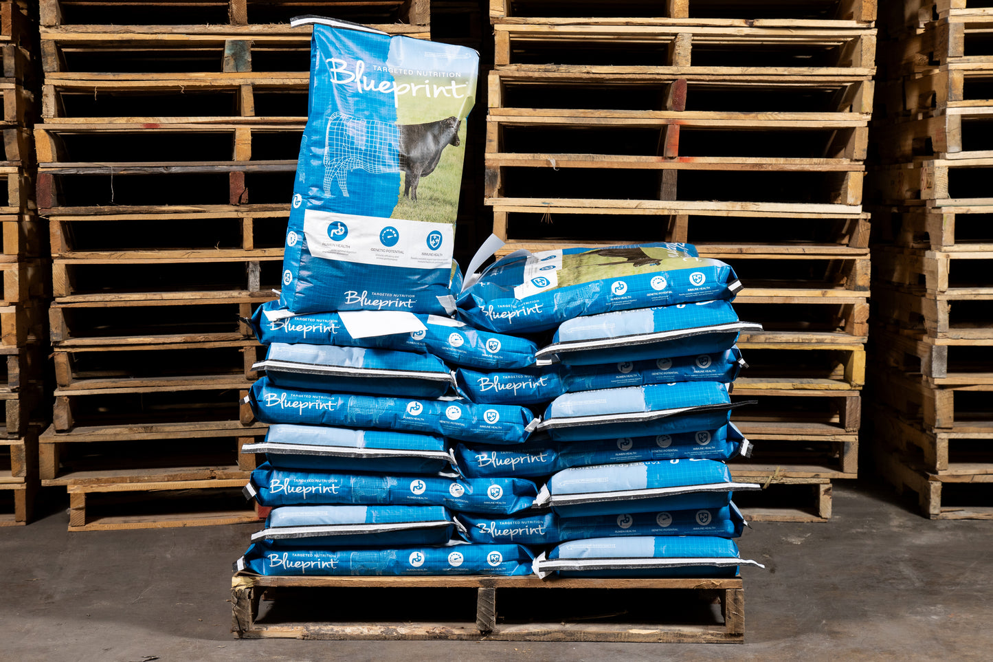 Blueprint® Cow Calf 5 Mineral