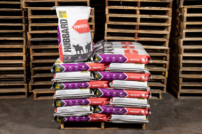 POWERSTART® Solo Complete Pig Feed NAB