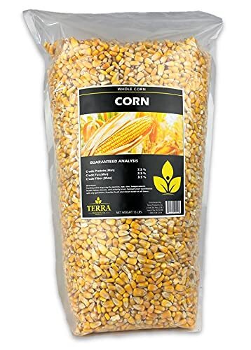 Bagging Deer Corn and Grains into 30 lb to 50 lb Bags | Whole Corn