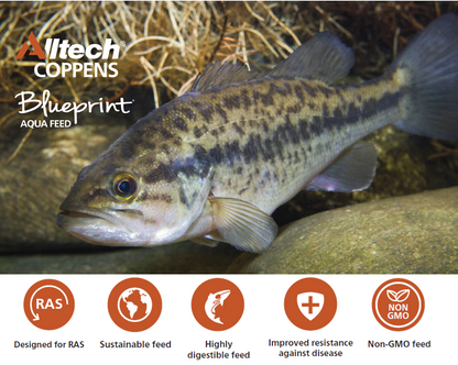 Alltech Blueprint® POND Fish Food SP-15 (44lbs)