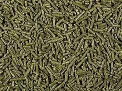 Terra Products - Dehydrated Alfalfa Pellets for Guinea Pigs, Rabbits, and More Small Animal Pets