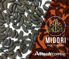 Alltech Coppens - MIDORI - KOI Food